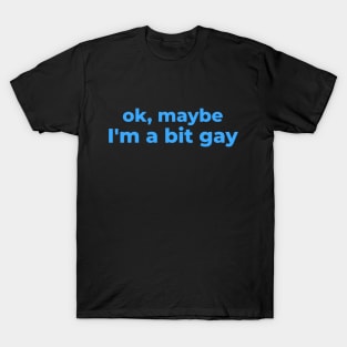 Maybe I'm a bit gay - Sarcastic design T-Shirt